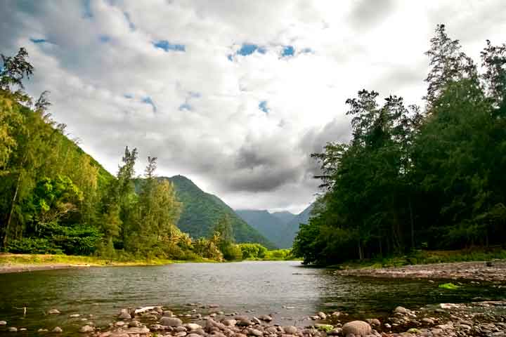 paisaje iece